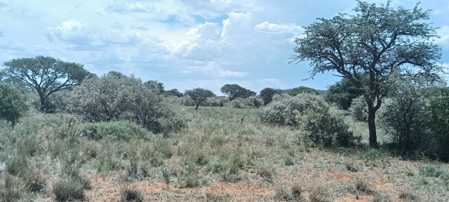 3 Bedroom Property for Sale in Boshof Free State